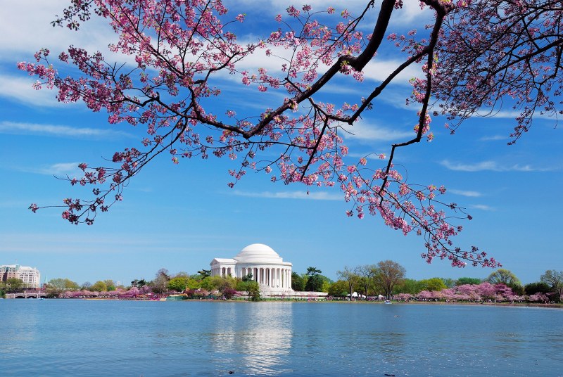 travel nursing in Washington | originnurses.com