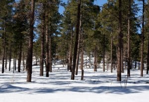 Best Locations for Travel Nurses in the Winter
